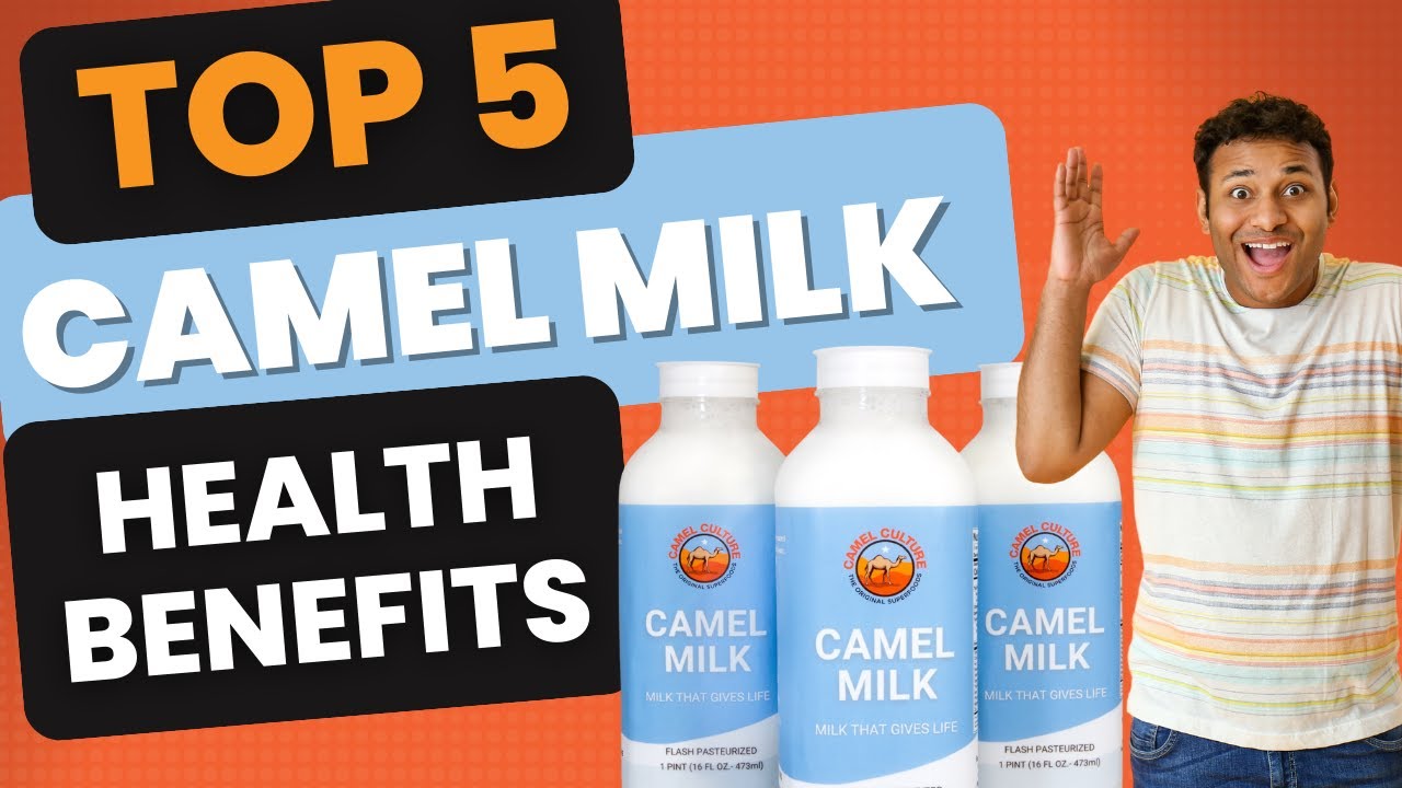 Top 5   Camel Milk Health Benefits