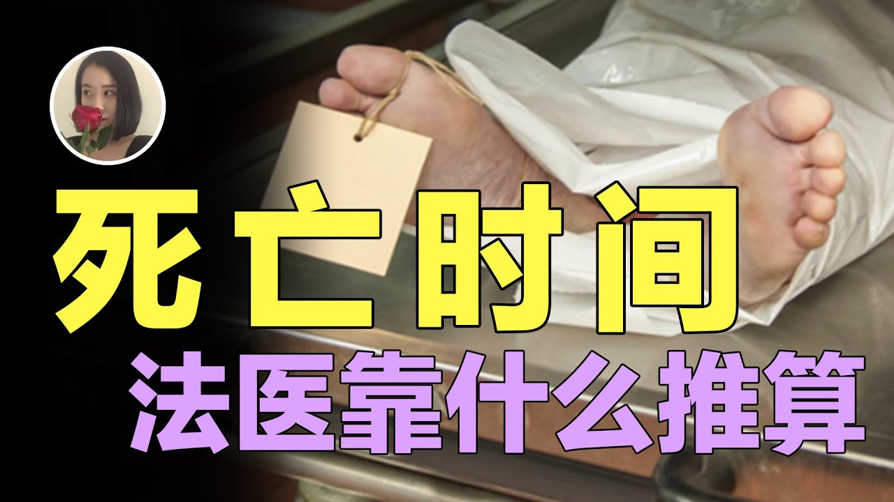 【屍體】法醫靠什麼推斷死者的死亡時間?屍斑|屍僵|昆蟲活動