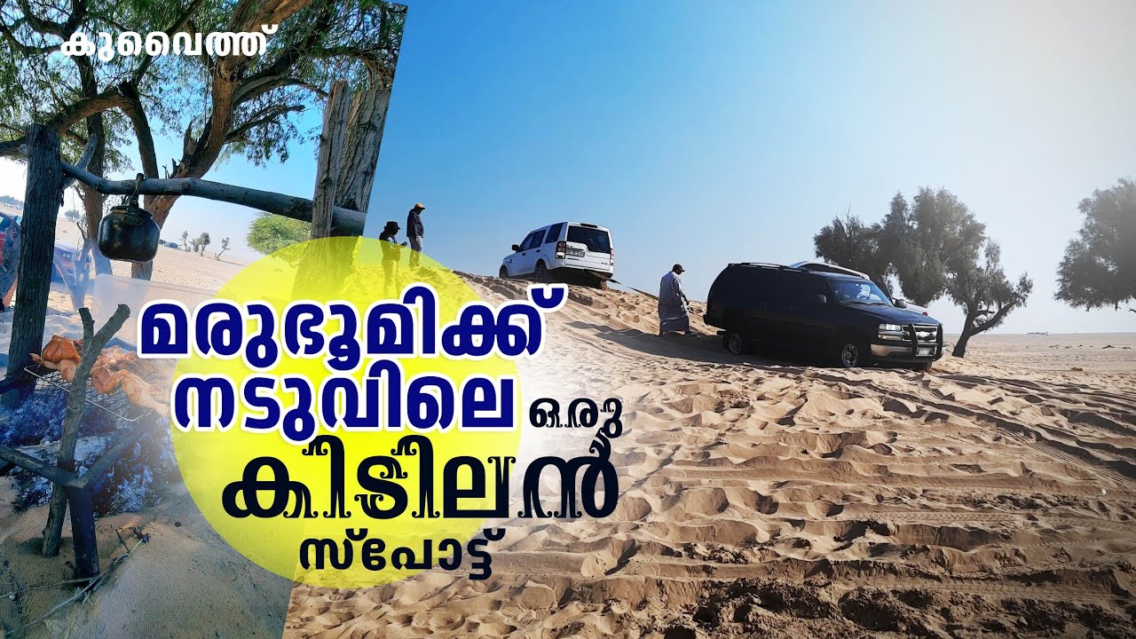 മരുഭൂമിക്ക് നടുവിൽ ഒരു കിടലൻ spot | Shumaymah | Sand Dunes