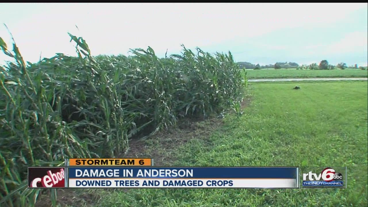 High winds topple trees, damage crops in Madison County
