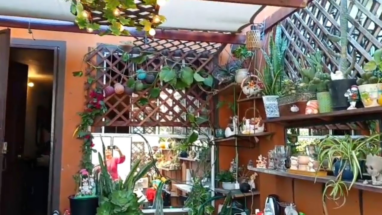El MINI jardín de LOLIS, te invito a conocerlo, te encantará. 