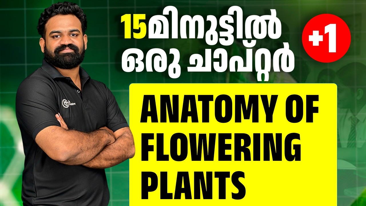 ANATOMY OF FLOWERING PLANTS | ONE SHOT | CM ACADEMY