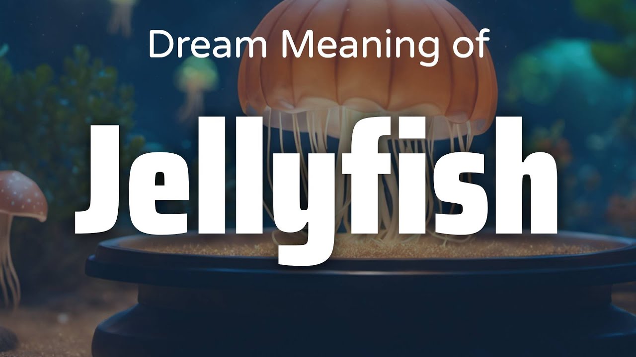 Jellyfish Dream Meaning & Symbolism | Interpretation Psychology