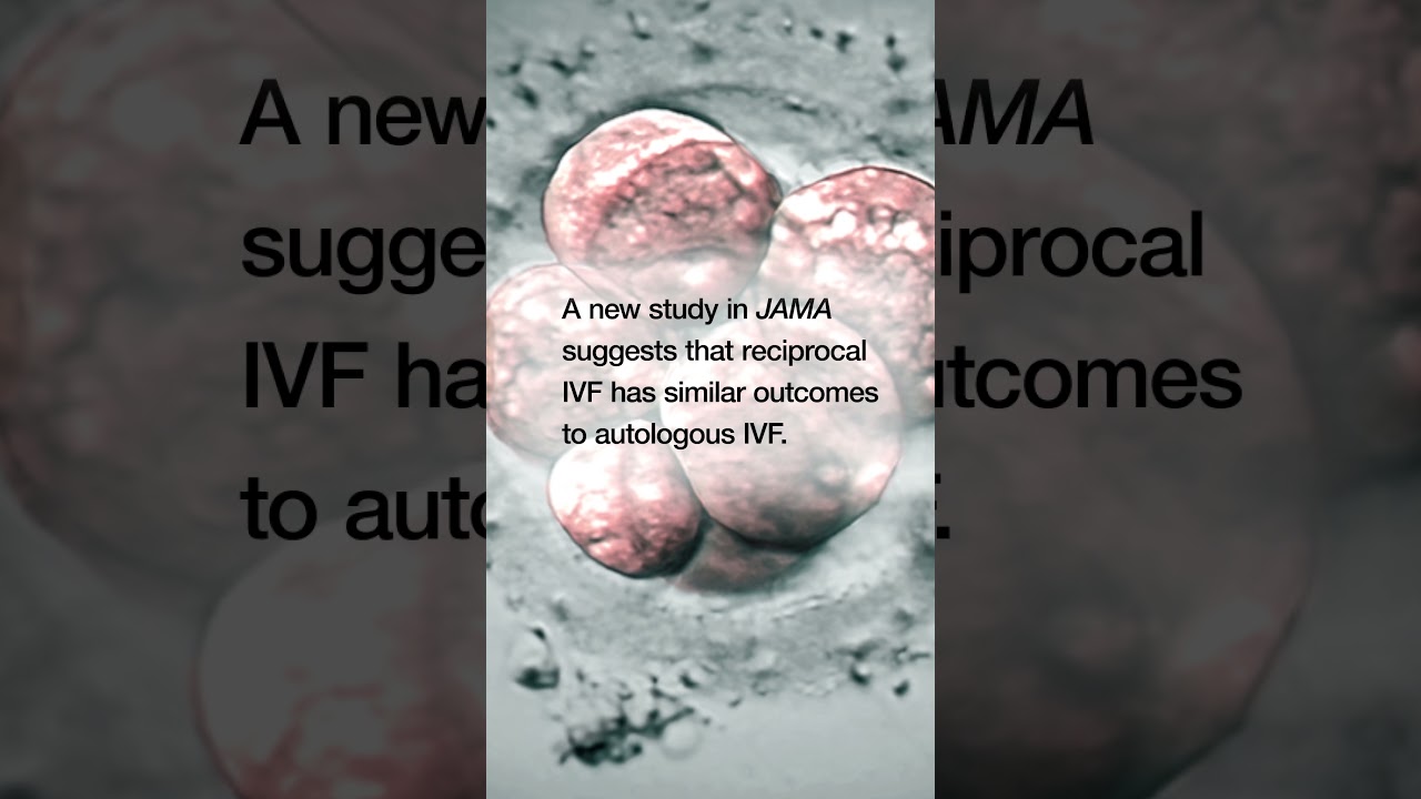 IVF Outcomes for Same-Sex Female Couples: Autologous vs Reciprocal Fertilization #shorts