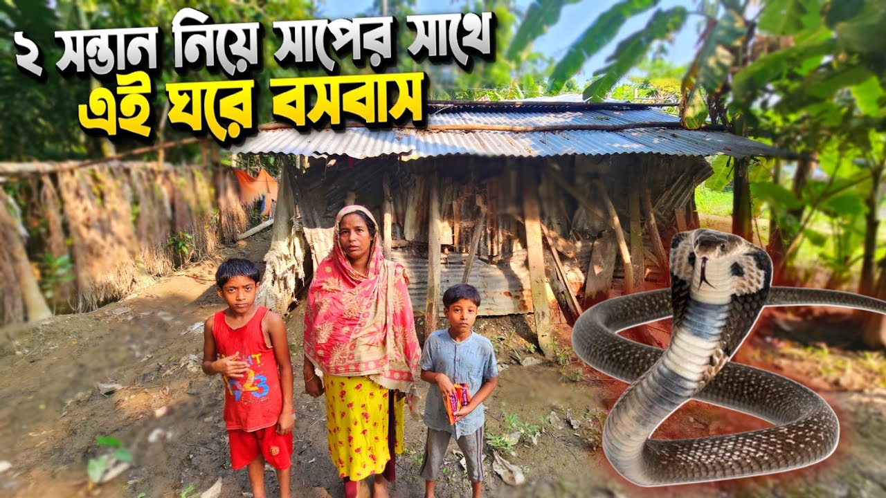 ৮ বছরের বাচ্চা মানুষের বাসায় কাজ করে, তার বিনিময়ে পাংগাস মাছ দিয়ে ভাত খেতে দেয়। 