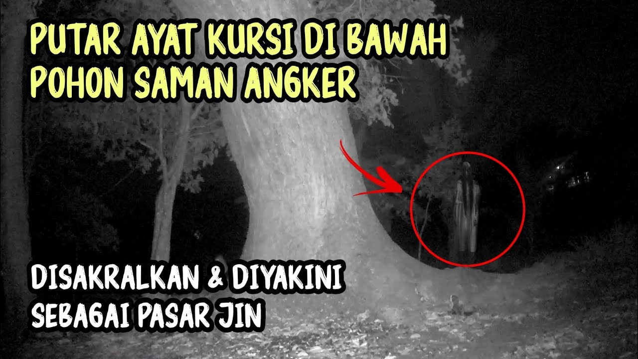 MITOS PASAR JIN‼️Eksperimen CCTV dan Putar Ayat Kursi di Bawah Pohon Saman Angker [CCTV HOROR]