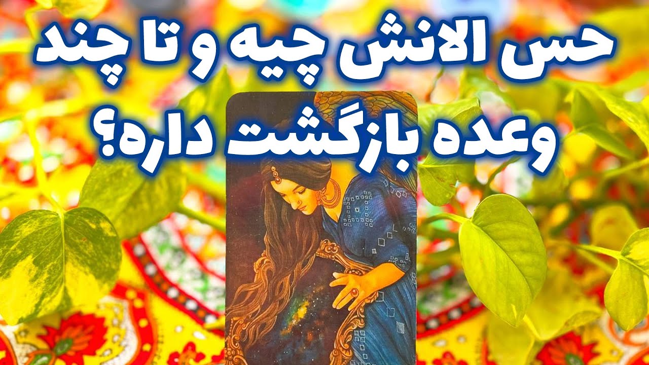 فال تاروت مرلین - حس الانش چیه و تا چند وعده بازگشت داره؟