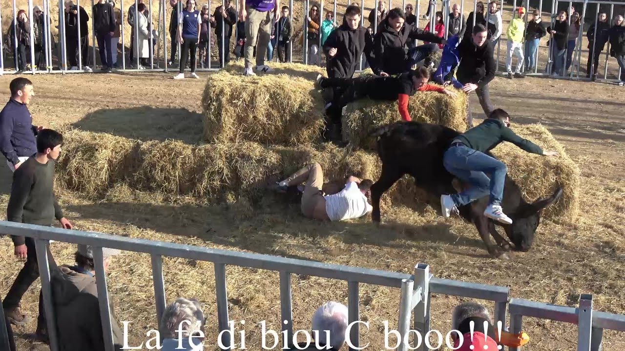MARSILLARGUES ▶COURSE AU PLAN◀ 17.02.2024.