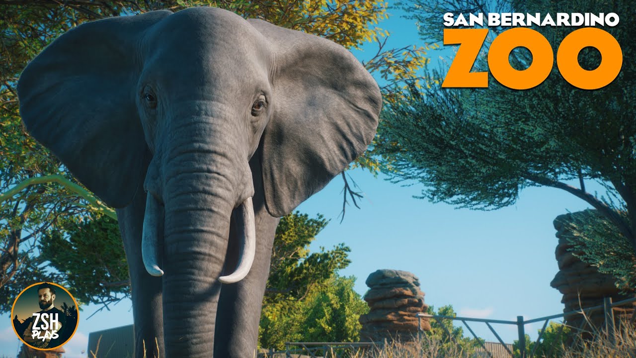 Building a Forest for Elephants in Franchise Mode! | San Bernardino Zoo | Planet Zoo