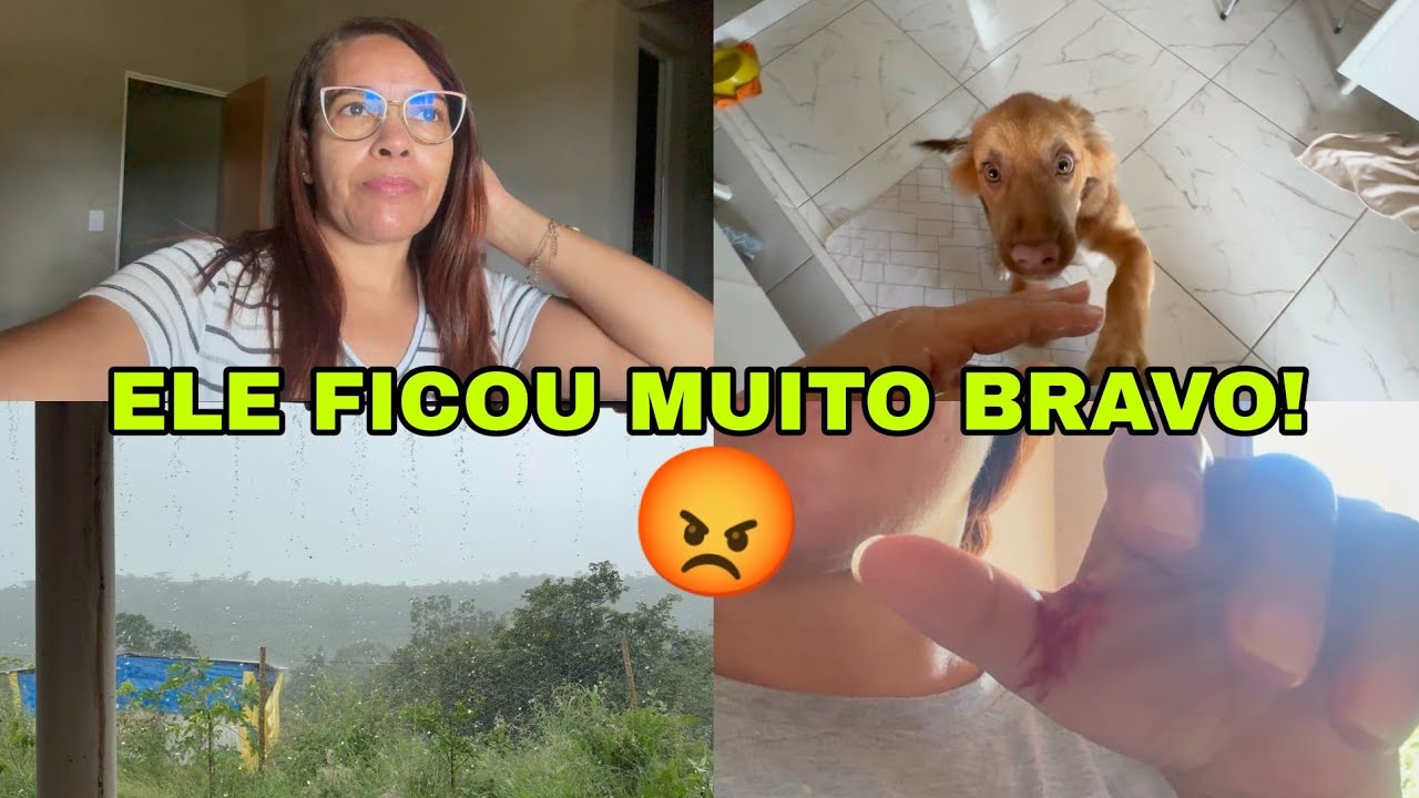 ELE ME MORDEU! FOI DO NADA/ LEVEI ELE NO VETERINÁRIO! #viral / cantinho da Malu 