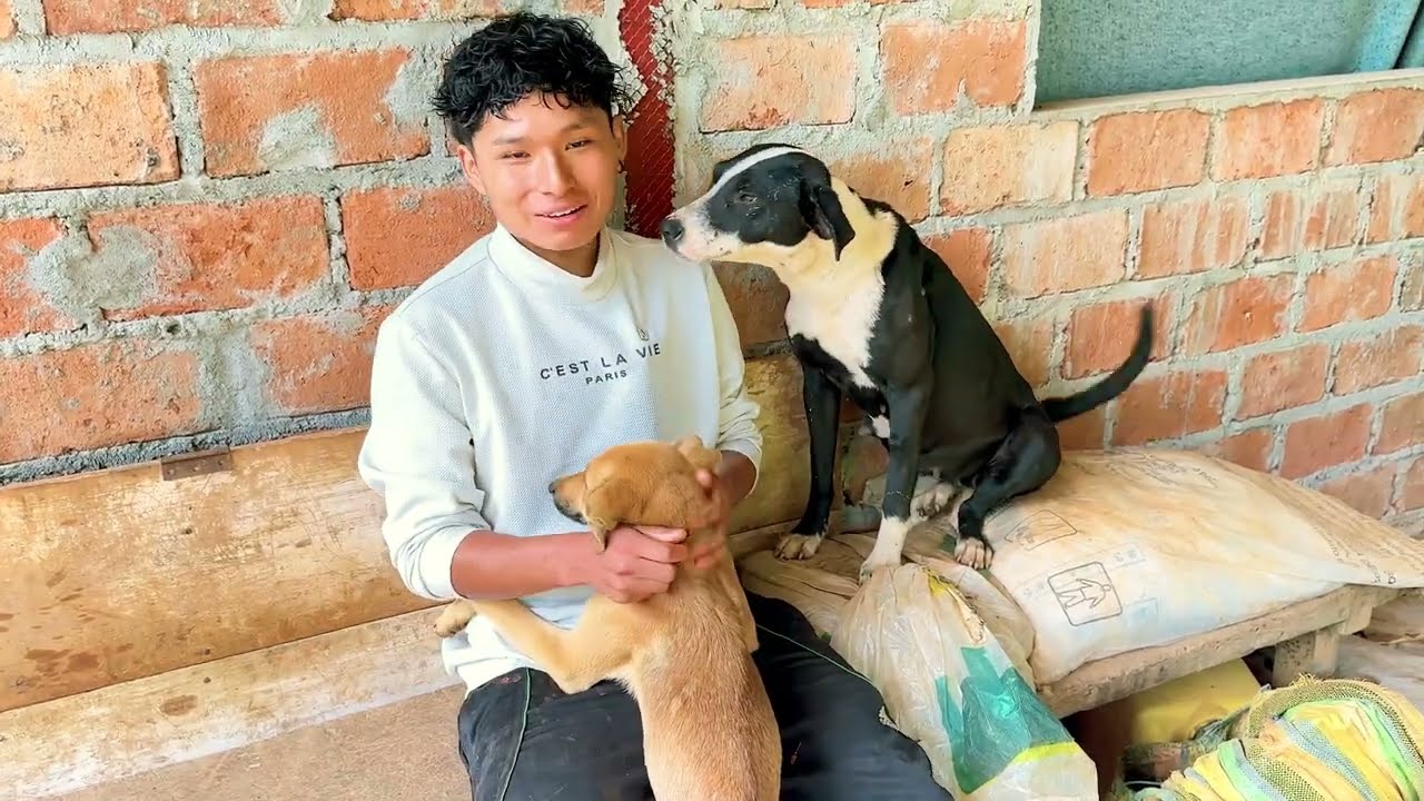 Yefito - Me encargue de darles de comer a los animales de mi papá
