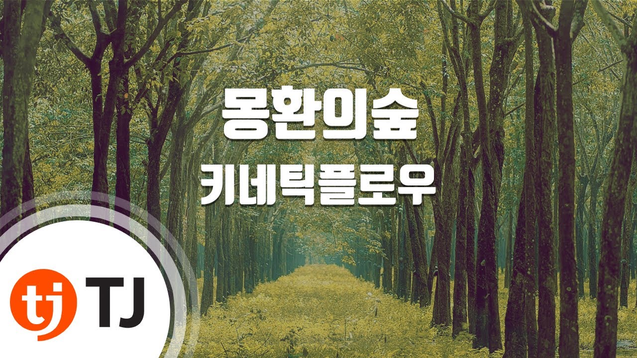 [TJ노래방] 몽환의숲 - 키네틱플로우 / TJ Karaoke