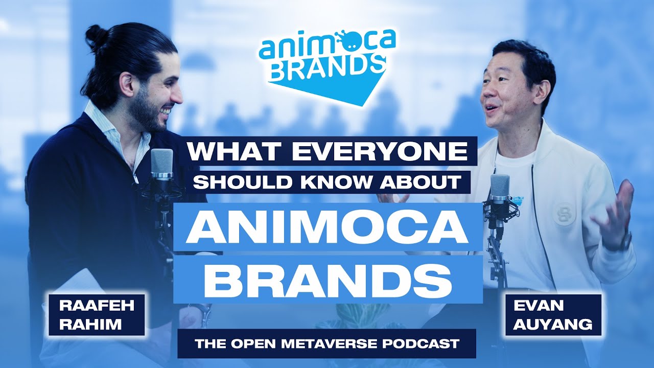 What Everyone Should Know About Animoca Brands