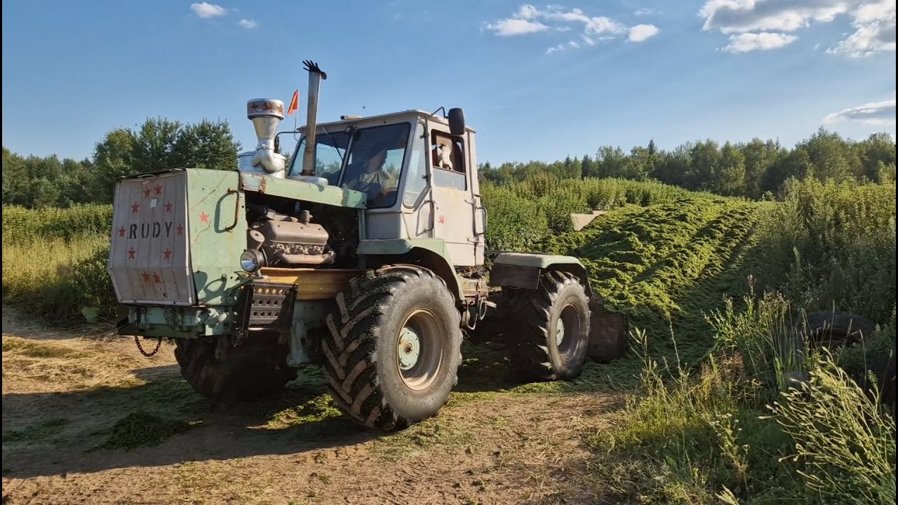 Кормозаготовка в САМОМ РАЗГАРЕ - ТОЛЬКО ВПЕРЕД! Заехал на День Поля. За Русь !