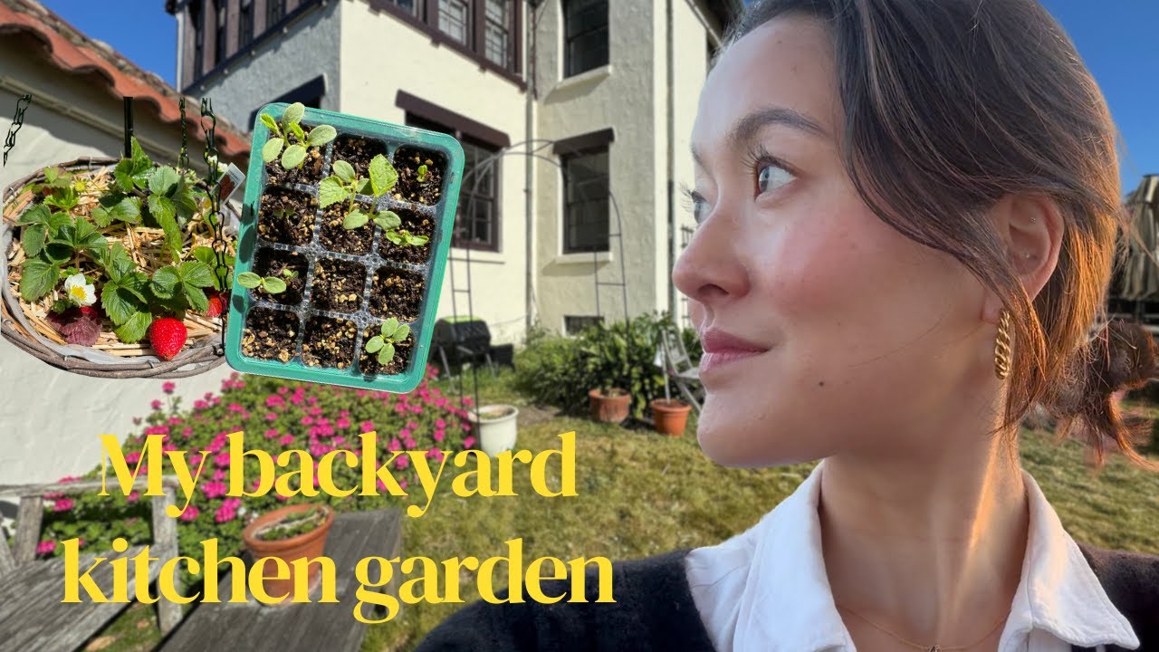 starting the kitchen garden of my dreams | raised beds, snap pea archway, berries, fruit trees! 🌱🍓🫛🍊