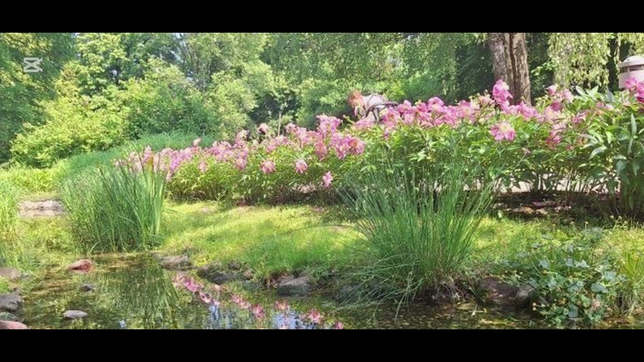 Querida yo (ukelele cover)•Ayla mix•