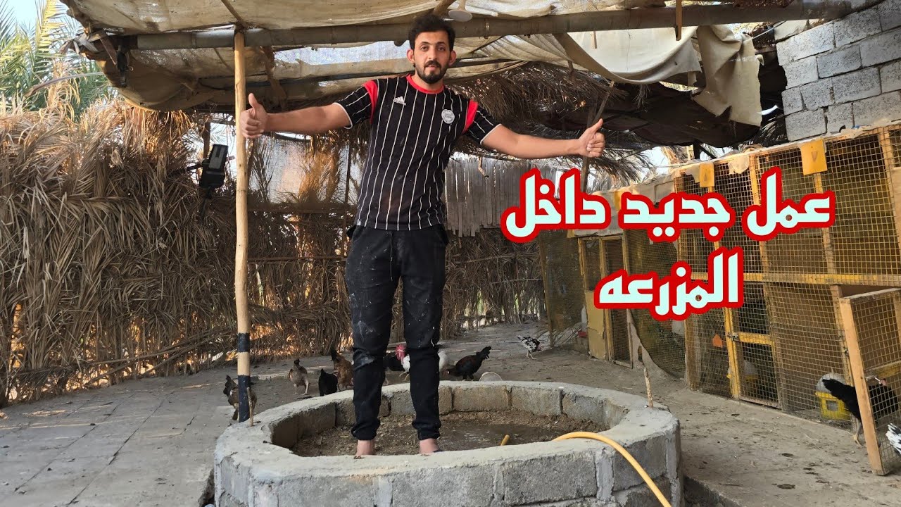 عمل جديد داخل المزرعه جبت دجاجه عراقيه 