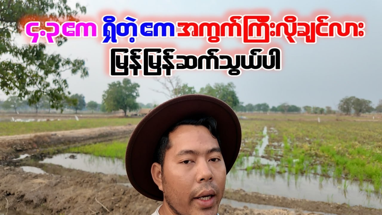4.3 ဧက ရှိတဲ့ ဧကအကွက်ကြီးလိုချင်လား