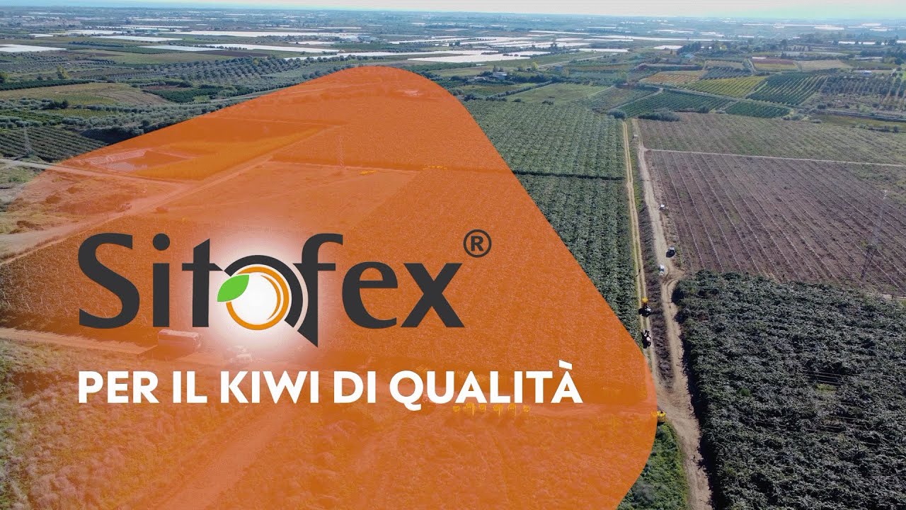 Sitofex® – Il successo per il kiwi
