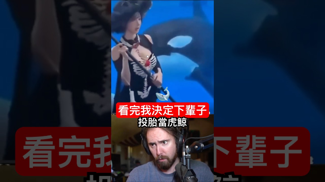 【輪迴是真的？】看完我決定下輩子投胎當虎鯨了🐋