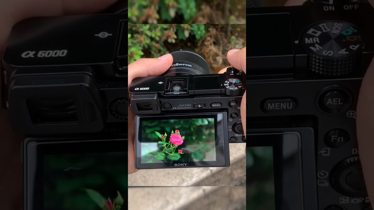Sony A6000 Camera Test 📸 #sonyalpha #sonya6000 #trending #trendingshorts