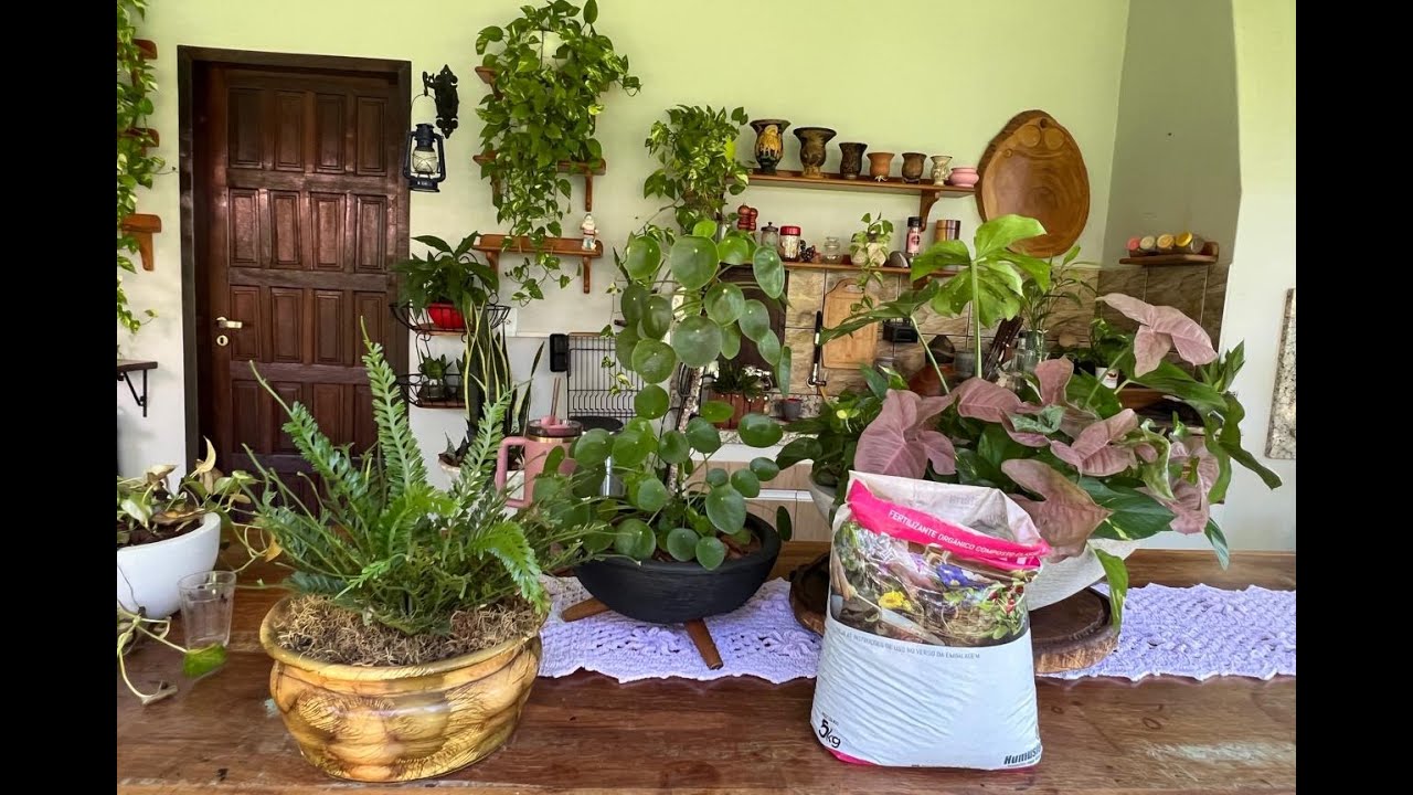 JEITO FÁCIL, RÁPIDO E ECONOMICO DE ADUBAR AS PLANTAS COM MELHOR RESULTADO.   Ateliê Florescer