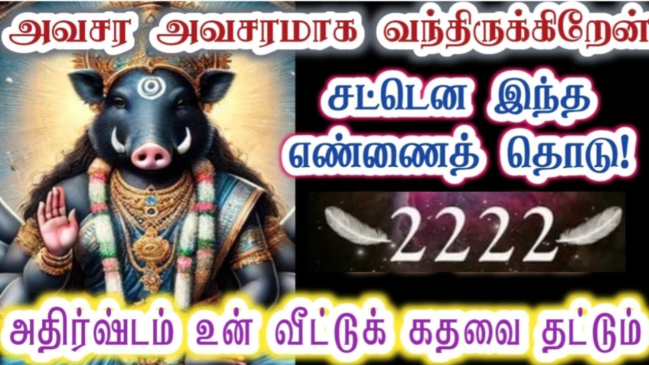 நம்பிக்கையோடு இந்த அதிர்ஷ்ட எண்ணைத் தொடு!/Amman/varaahi Amman/positive vibes/@ஓம்சரவணபவ 