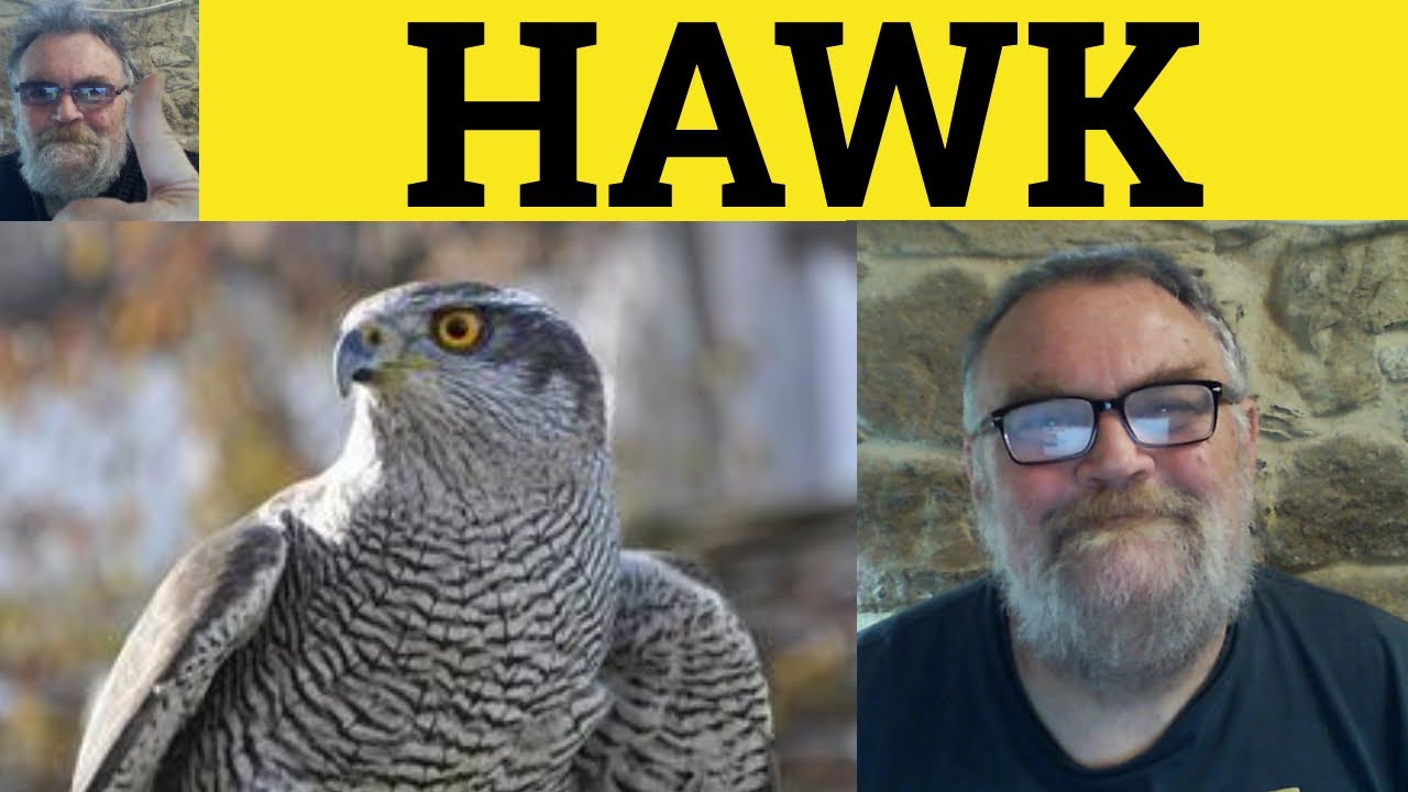 🔵 Hawk Meaning - Hawking Examples - Define Hawk - Hawker Explained - GRE Vocabulary