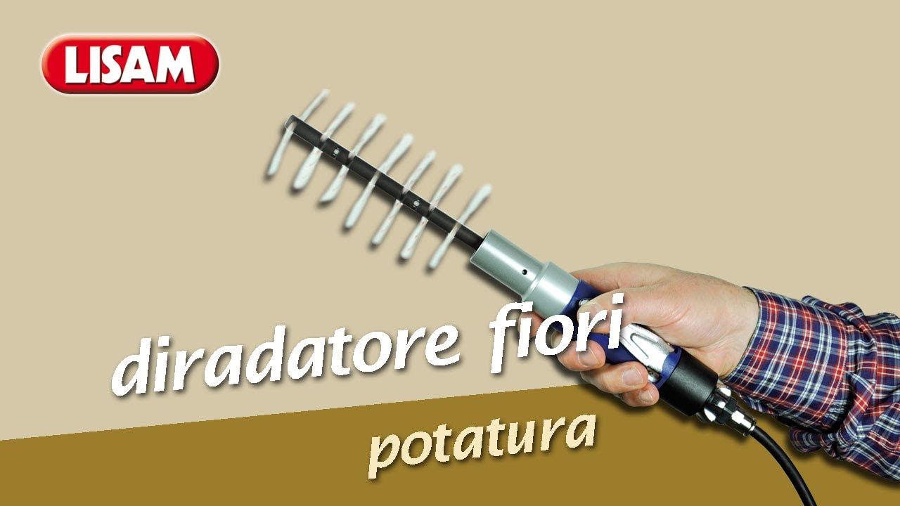 Diradamento di fiori meccanico