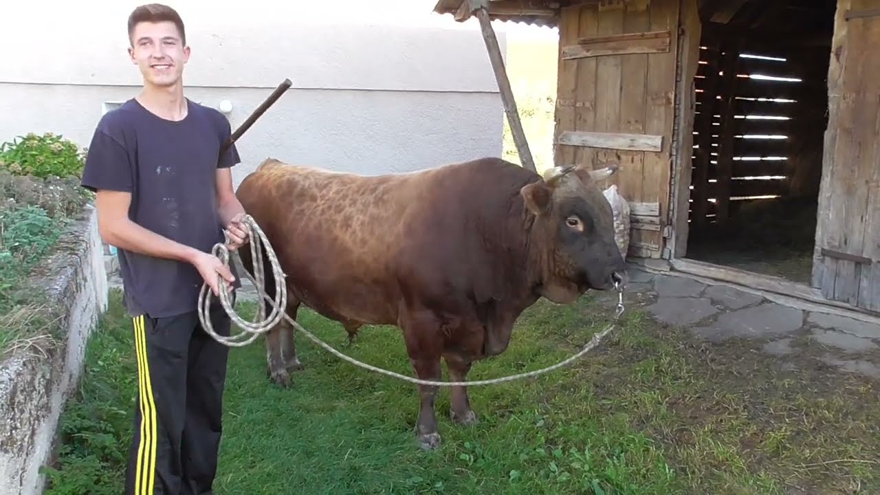 Majid Dizdarević iz mjesta Vrselje