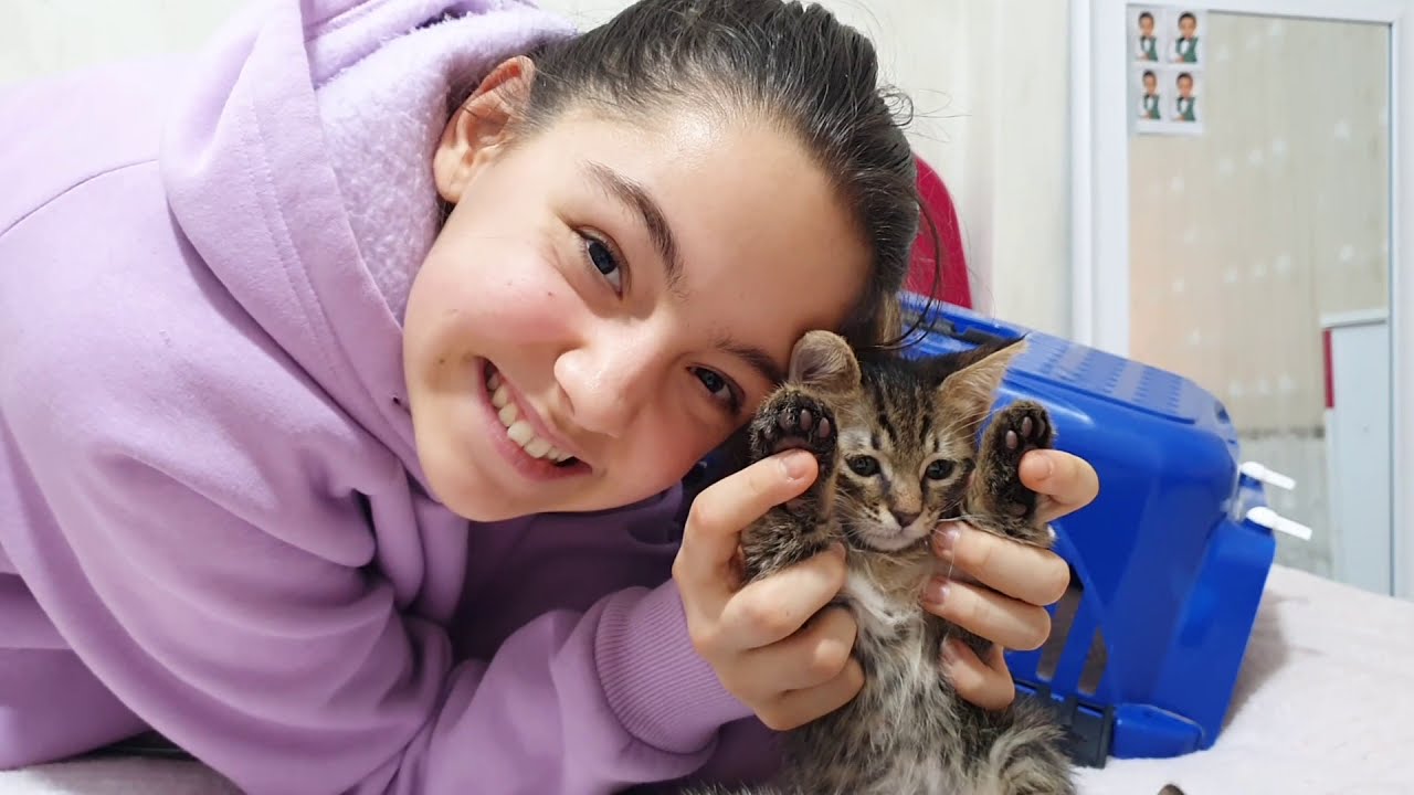 YAVRU KEDİLER SAHİPLENDİM!! İSİM ARIYORUZ