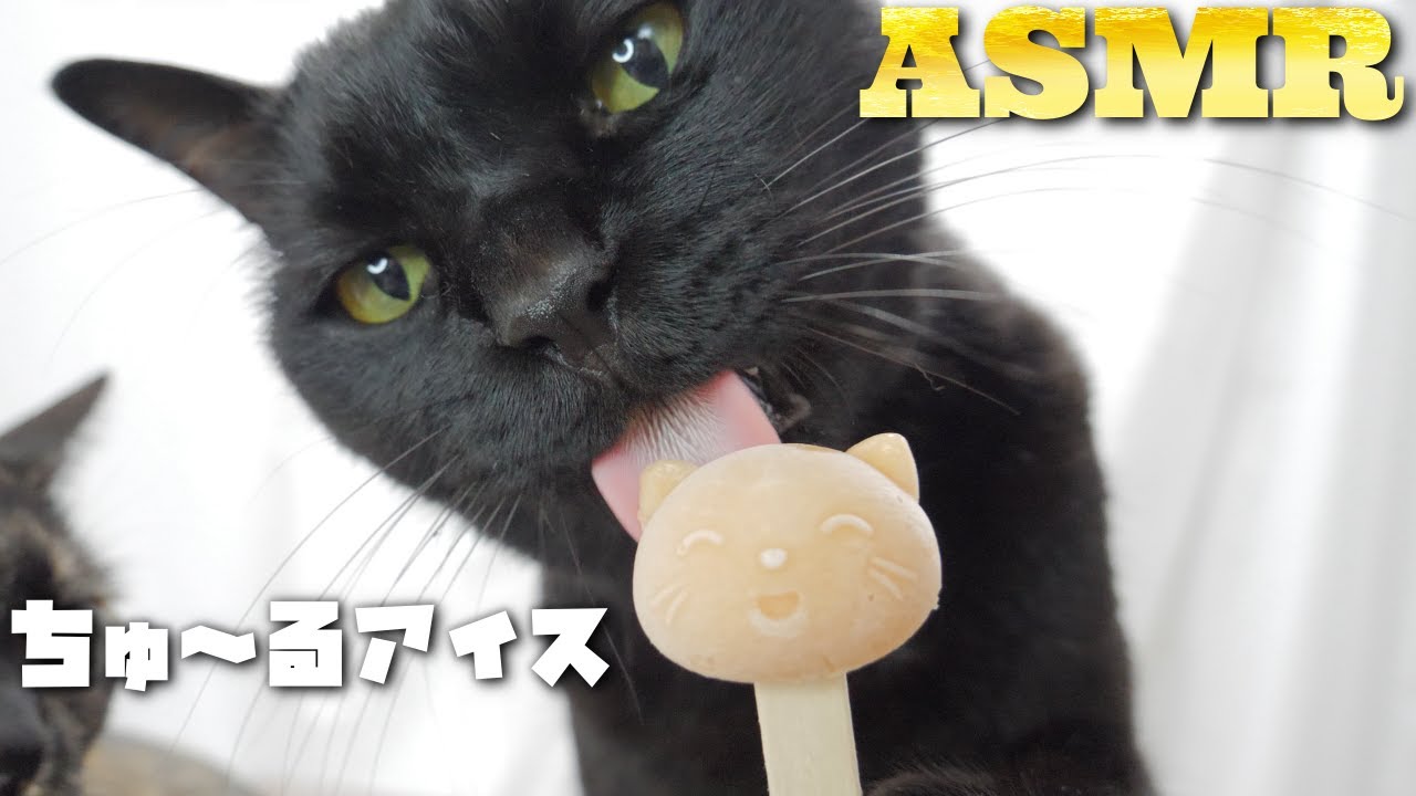 【ASMR】Мороженое Cat Eating Churu🐈🍦🎧