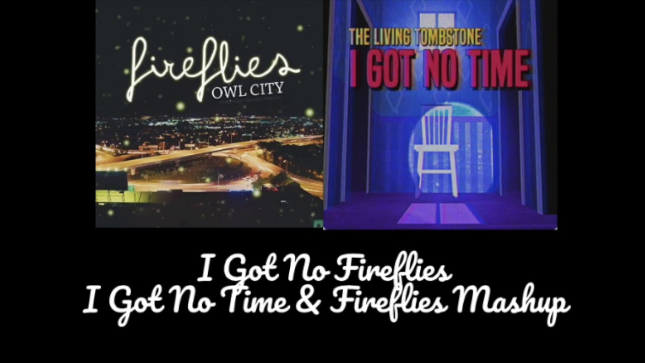 I Got No Time & Fireflies Mashup (I Got No Fireflies)