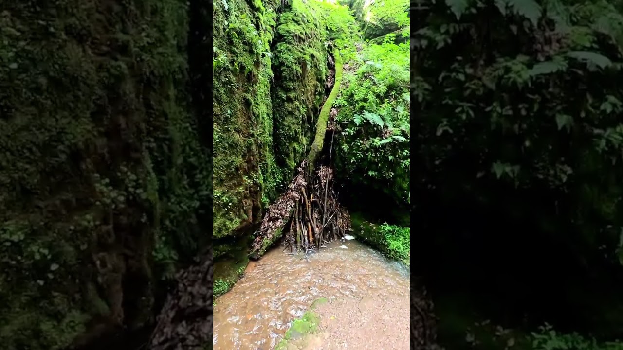 Drachenschhlucht Eisenach, Ausflugsziele in Th&uuml;ringen