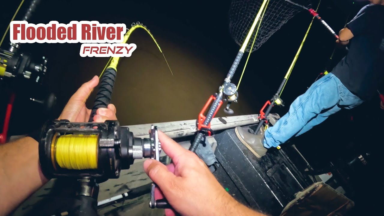 Flooded River Frenzy: Unbelievable Catfish Action