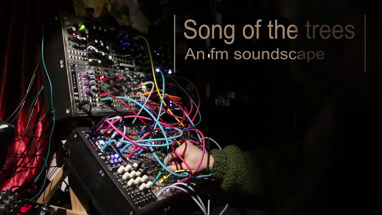 Song of the trees - exploring the soundscapes of the Humble Audio Quad Operator