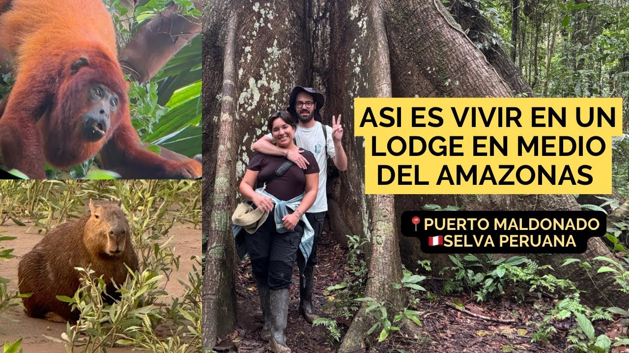 ASI FUE VIVIR EN UN LODGE DEL AMAZONAS- DORMIMOS ENTRE JAGUARES Y SERPIENTES.