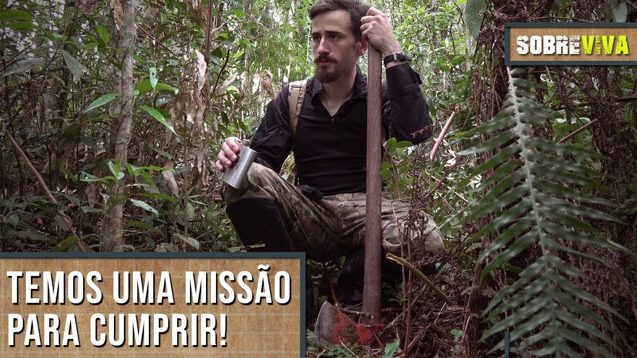 Desbravando uma mata fechada: Será que vamos conseguir? - Sobreviva Ep.19