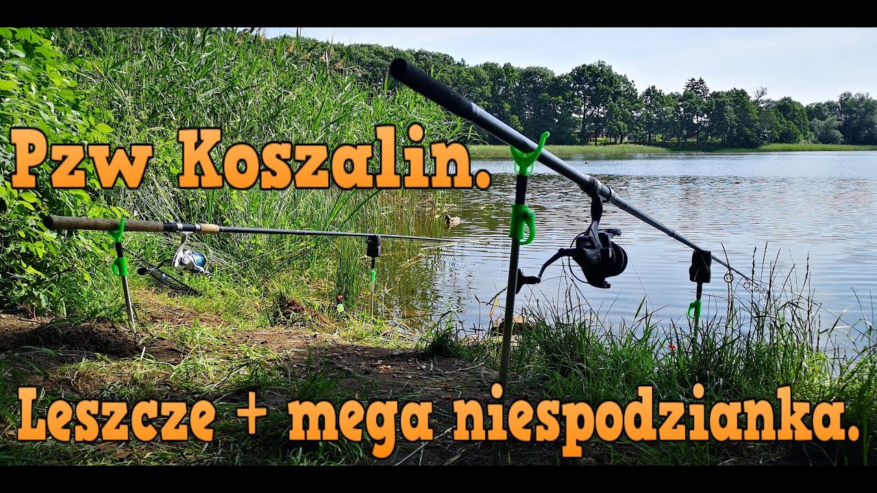 //Leszcze na method feeder//Miła niespodzianka//Pzw Koszalin//Cudowne jezioro z dużym potencjałem//
