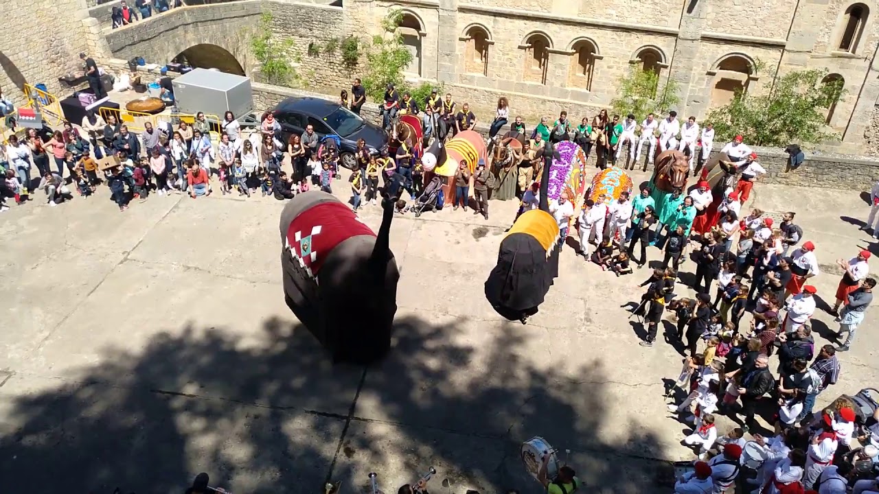 5 anys de la Mula Baba de Girona - Ball de la Mula Baba de Girona
