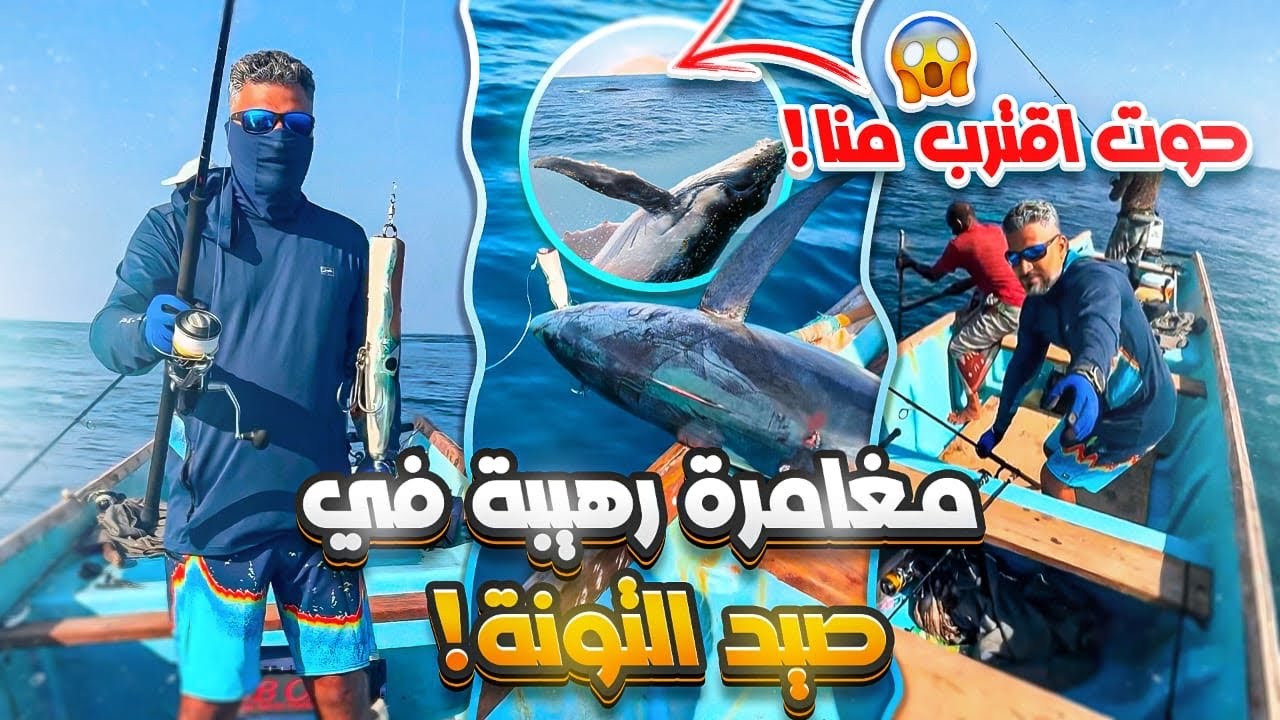 Yellowfin by popping Socotra 2025