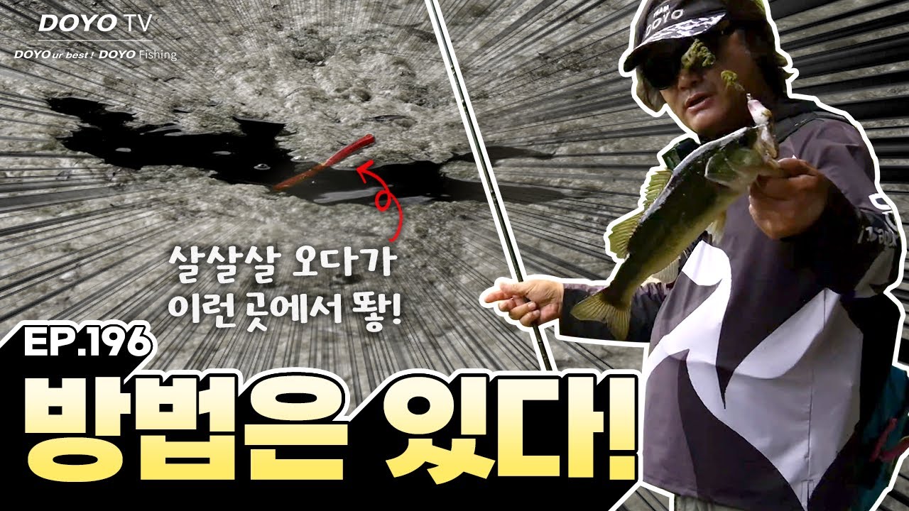 [도요TV ep.196] 초소형 저수지 배스를 공략하는 방법은?