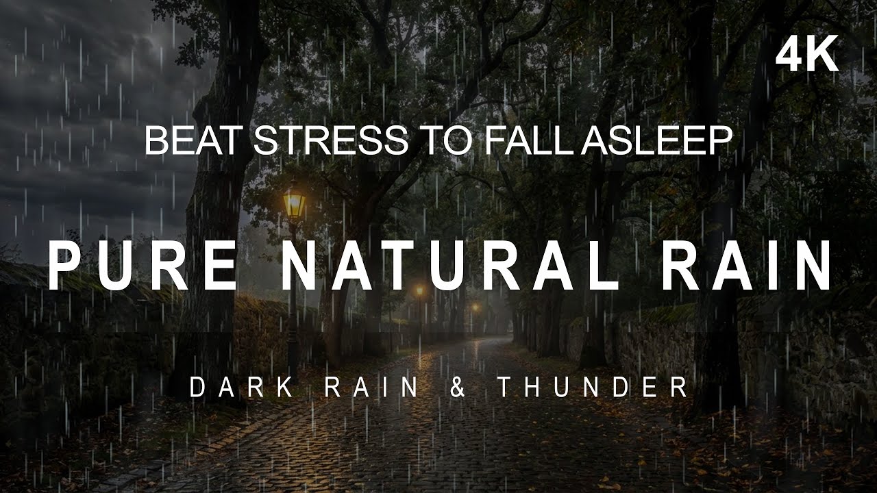 Pure Natural Rain | Beat Stress to Fall Asleep | 1 Hour