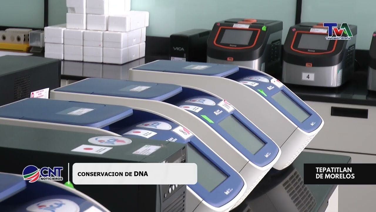 Conservación de ADN | El trabajo científico del Centro Nacional de Recursos Genéticos