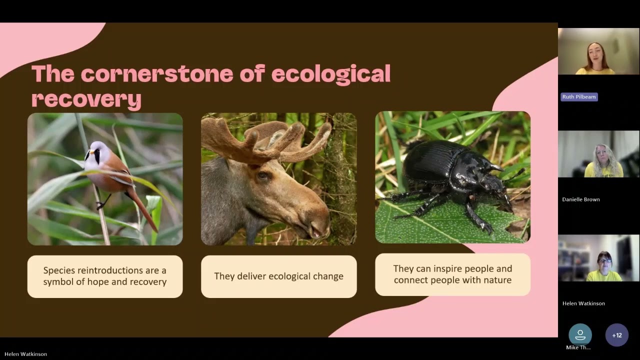 Bring Back Lost Species webinar