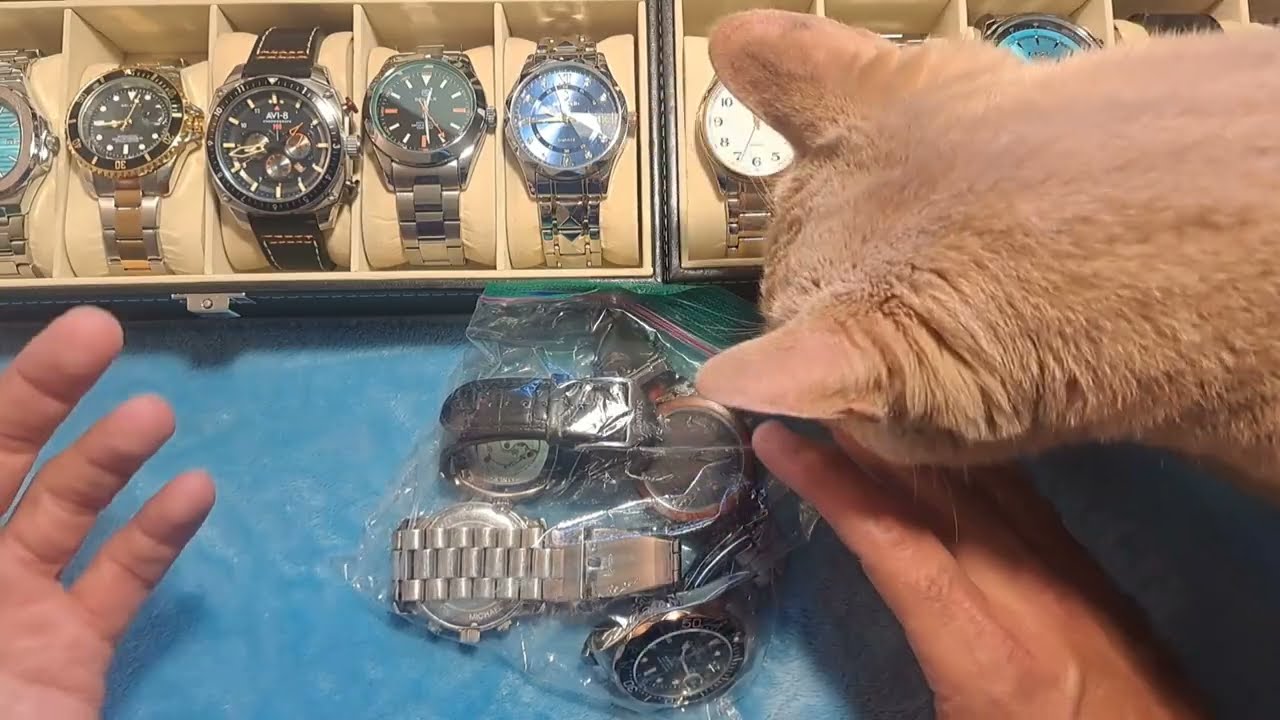 BAG OF WATCHES might as well fix one INVICTA Budget watch REPAIR Review DIY Battery replacement