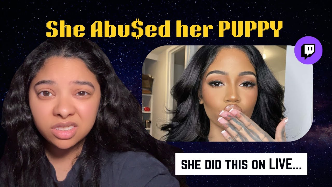 Twitch Streamer Abuses Puppy - Ash is Yapping