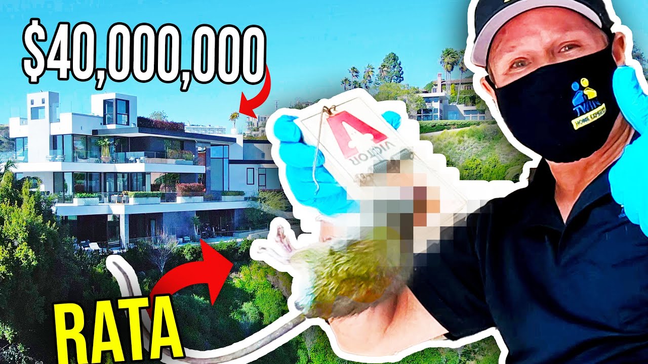 MEGA MANSIÓN tiene un problema de MEGA RATAS