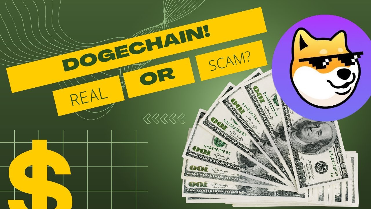 DogeChain! Real or Scam?