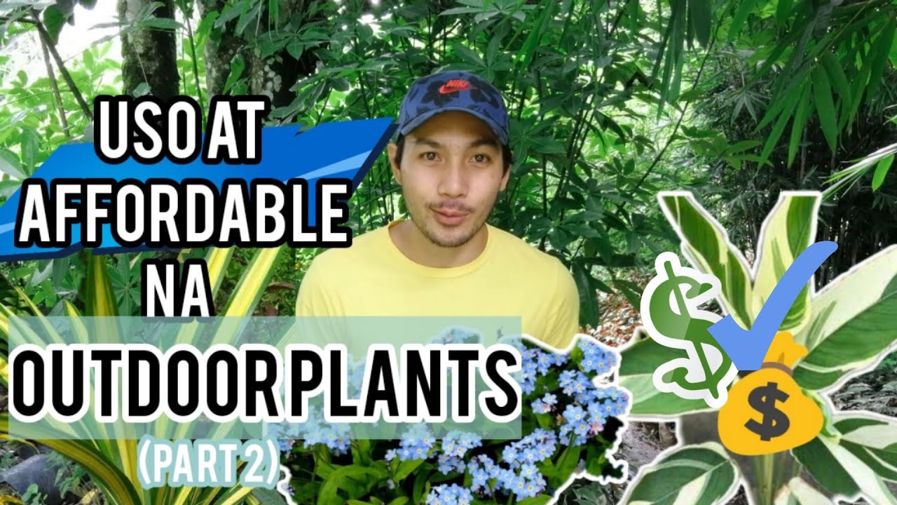 MGA USO AT AFFORDABLE NA OUTDOOR PLANTS | PART 2